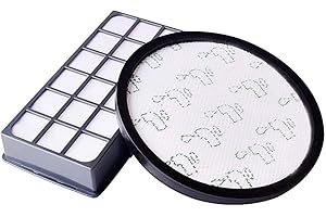 AWINKER Filtre Hepa pour Aspirateur Rowenta X-Trem Power Cyclonic/Silence Force Cyclonic RO69xx RO6941EA RO6963EA RO6921EA RO6971EA RO6993EA