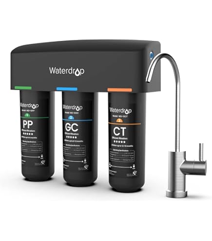 Sistema Di Filtrazione Acqua Per Tutta Casa AI25 2510SXT Con Iniezione D'Aria - Rimuove Ferro (10 Ppm), Zolfo (6 Ppm) E Manganese (2 Ppm) - Senza Sostanze Chimiche E Sale