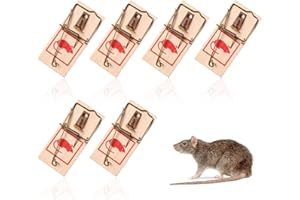 BCZR 6 Piezas Trampa Ratones, Ratoneras Maderas con Cebo, Trampas para Ratones, Trampas Ratones, Trampas De Ratones, Gran Fuerza, Fácil Manejo, Cazar Ratones Eficientemente(95 * 50Mm)