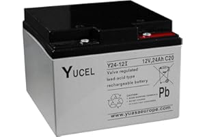 Y24-12i Yuasa 12V 24Ah SLA UPS Battery