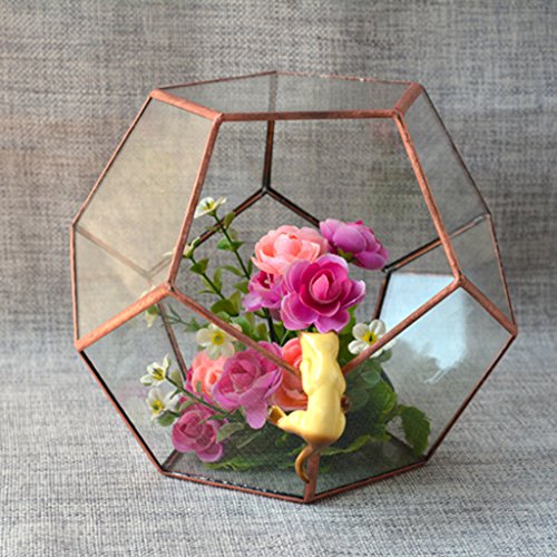 Mini Glas Terrarium Geometrisches Glas Sukkulente Pflanzen Pflanzgefäß Deko – 15 x 15 x 15cm - 8