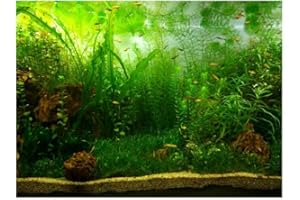 FILFEEL Fish Tank Decorations Background Pictures Aquarium PVC Adhesive Poster Water Grass Style Backdrop Decoration Paper Cling Decals Sticker(61 * 30cm)