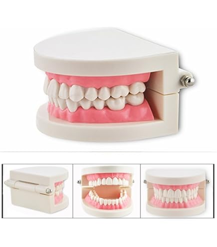 Ma Questa "diga" Che Usa Lei è Una Cosa Nuova? - Il Dentista Dei Bambini - Foto 11