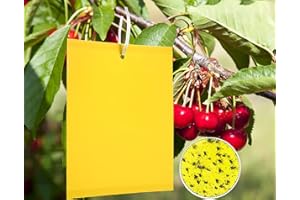 Y.A. LOTUS 50Pcs Trampas de Mosca, Proteger de Huertos y Plantas Ornamentales, Amarillos Trampas Adhesivas de Doble Cara para Moscas, pulgones, mineros de Hojas, polillas etc (20x15cm)