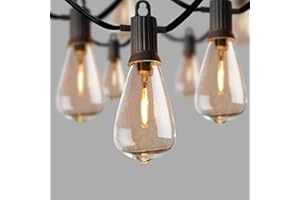 ZOTOYI Outdoor LED String Lights Mains Powered, 7M Garden String Lights, 12+1Pcs Vintage Bulbs(1 Spare), Waterproof IP65 Patio Festoon Lights for Backyard, Garden, Bistro, Café, Party, Wedding