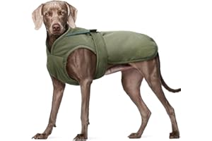 Kuoser Wasserdicht Hundemantel Hundejacke für Kleine Mittelgroße Hunde, Reflektierende Leinwand Wintermantel Große Hund Mantel Welpen Fleecejacke Wintermantel Hundeweste mit Gurtloch, 3XL Grün