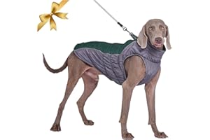VIVI BEAR Manteau imperméable pour Chien, Veste d'hiver Doupe-vent au Vent Veste Chaude pour Chiens de Taille Moyenne Grande Vêtements pour Chiens Réglables avec Bandes Réfléchissantes Sécurisées et Anneau en D