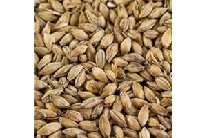 WEYERMANN 1 kg Pilsner Malz für helle Biersorten EBC 3-5