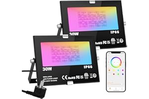ChangM Foco LED Proyector de Exterior impermeable 30W Controlado por la Aplicación de Teléfono Foco Proyector Exteriores IP66 LED Foco de Colores Adaptado para Decoración de Jardín Parque(2 pack)