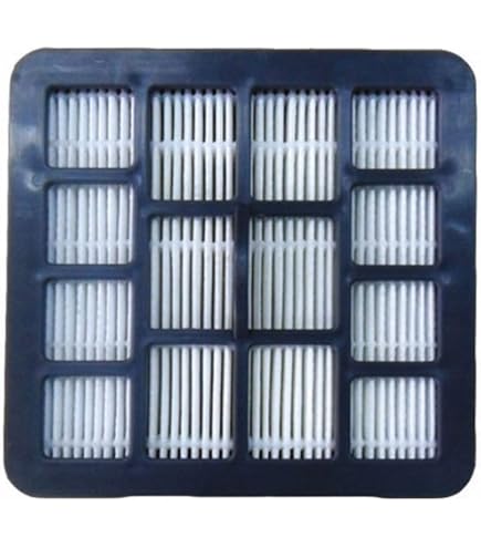 Filtro HEPA Per Aspirapolvere Hoover Telios-Plus TE70 TE20 – Aria Più Pura, Addio Allergeni! 🌬️🌀