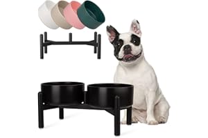 PTOBER Comedero Perro Elevado de Cerámica - Cuenco Doble con Soporte de Acero Inoxidable - Platos para Perros Pequeños y Medianos - 850 ml x 2 - Negro