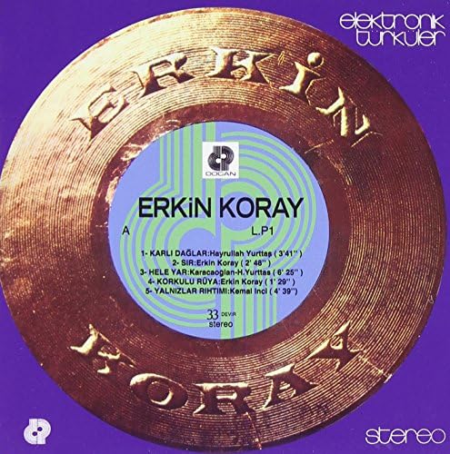 Elektronik Turkuler