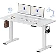 FLEXISPOT Electric Standing Desk 55 x 24 Inch Adjustable Height Desk Home Office Computer Workstation Sit Stand Desk, White Top + White Frame