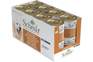 Schesir, Comida húmeda para Perros Adultos, Sabor Pollo con Patatas, filetes en gelatina Blanda - Total 4,56 kg (16 latas x 285 gr)