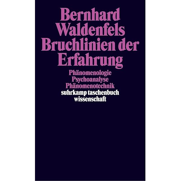 Neue Phänomenologie in Frankreich Neue Phänomenologie in Frankreich. Buch von Hans-Dieter Gondek