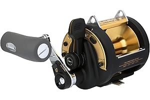 SHIMANO Reel TLD II A 50lb 2-speed LRS