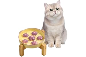 PTOBER Elevated Slow Feeding Cat Bowl - Raised Bamboo Stand with Anti-Slip - Colorful Maze Cat Dish - 6 OZ - Light Purple Flower