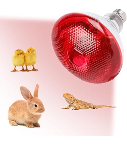 Frogetu Reptielen Warmtelamp terrarium, 250 W infraroodlamp, warmtelamp