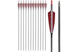 NIKA ARCHERY Reine Kohlenstoffpfeile 600 Wirbelsäulen Truthahn Federfletching-Einschraubpunkte auf die Jagd auf traditionelle Lange Bogenpfeile für Recurve Bug Comput Bogen abzielen