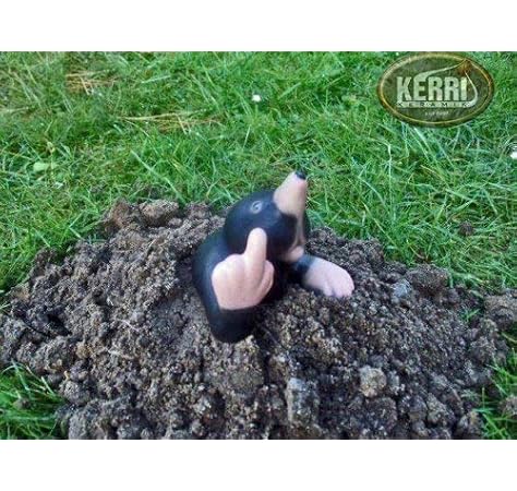 Maulwurf Gartendeko Keramikmaulwurf Maulwurfsfigur Amazon De Garten