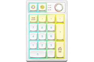 YUNZII YZ19 Wireless Mechanical Number Pad,19 Keys Numeric Keypad with Knob, RGB Gasket PBT Keycaps Hot Swappable Programmable Keyboard,Number Keypad for Win/Mac/Gaming(Gateron Yellow Switch,Macaron)