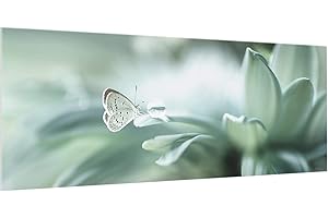 Bilderwelten Spritzschutz Glas Schmetterling & Tautropfen in Pastellgrün Panorama, 50x125 cm