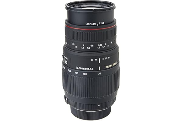 Sigma Objectif Macro 70-300 mm F4-5,6 DG APO motorisé - Monture Nikon