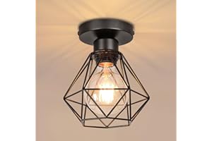 PETITES ECREVISSES Lámpara de Techo Vintage Lámpara Colgante Retro Iluminación de Techo Nórdico Metal Sencilla Estilo Luz para Salón Café Estudio Pasillo Loft