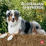 Australian Shepherds 2012 by