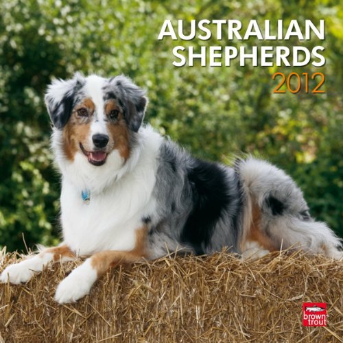 Australian Shepherds 2012