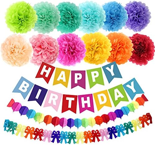 APLANET 15pcs 10" Paper Pom Poms(12 Colors), Birthday Party Bunting Banner, Rainbow Paper Garland - Birthday Party Supplies