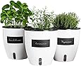 Chefarone XL Kräutertopf Küche Set Fensterbank selbstbewässernd - Kräutergarten Küche Selbstbewässerung 3er Set - Kräutertöpfe Küche (19x18 cm) (Weiß)