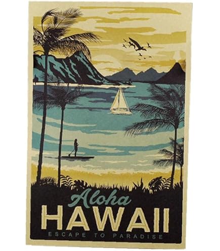 HAUS AND HUES Vintage Hawaii Surf Poster – Pfirsich Wandbild Mit Rahmen, Aloha Deko Für Zuhause