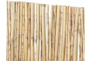 BONERVA | Bambú Media Caña | Cañizo de Bambú Caña para cerramientos y decoración de Jardín, balcón y exteriores | 1x5 Metros