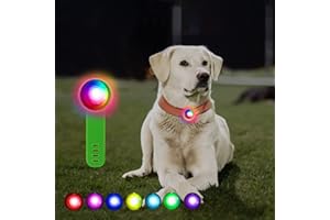 GothicBride Bezpieczne migające światło LED, bezpieczeństwo zwierząt domowych, ładowane przez USB, dla psów, kotów, zwierząt domowych, 3 tryby migania LED, breloczek do kluczy, na nocne spacery,