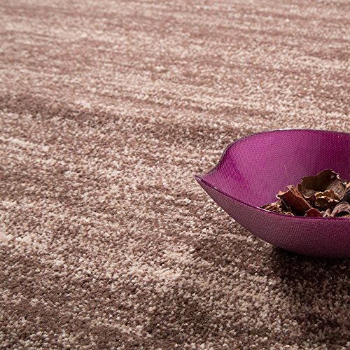 Teppich Modern Wohnzimmer Kurzflor Gemütlich Meliert Preiswert in Beige, Grösse:240×320 cm - 3