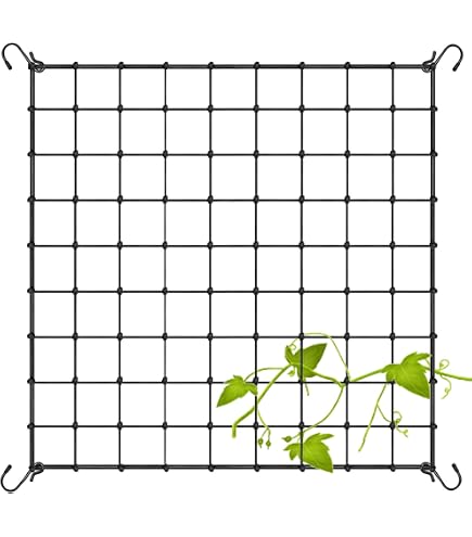 Filet De Soutien Pour Plantes Grimpantes 60x60 Cm - Treillis Élastique Avec 4 Crochets En S - Pour Potager, Jardin, Culture Hydroponique