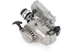 INSYOFOREVEREC Motors Dirtbike Mini Motor 49CC 3,5PS Pocket Bike Motor für Mini Dirt Bike ATV Quad Pocket Bike Quad mit Getriebe Vergaser