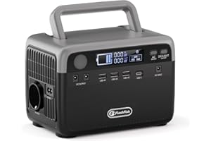 FF FLASHFISH FlashFish 230,4 Wh Generador eléctrico portátil, batería LiFePO4 300 W (pico 600 W) con 2x puertos CC, 4x puertos USB, iluminación LED, estación eléctrica para camping, RV, viajes, corte de corriente