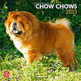 Chow Chows 2013 - Original BrownTrout-Kalender by BrownTrout-Kalender bei Stürtz