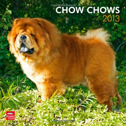 Chow Chows 2013 - Original BrownTrout-Kalender