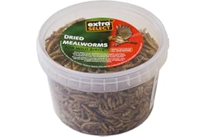 Extra Select Dried Mealworms for Wild Birds: Protein Rich Wild Bird Food for Robins and Wildlife - Meal Worms for Garden Birds - 500 ml