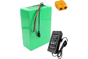 STDPCXZ Batterie Au Lithium 24V 8AH 10Ah 12AH 15AH 20AH pour Vélo Électrique avec Chargeur 25.2V 29.4V Batterie Haute Performance Scooter De Vélo Électrique pour Moteur 29.4V 15AH,XT60
