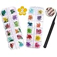 Fiori Secchi per Unghie - 2 Scatole (36 Pezzi) Fiori Secchi per Artigianato in Resina, 24 Fiori e 12 Foglie 3d Nail Art Set d