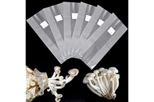 VAILEAL 30 bolsas de cultivo de hongos: Mushroom Spawn Grow Bag de 32 x 50 cm, bolsa de cultivo de hongos PP con filtro de 0,2 micrones, bolsa de cultivo para hongos shiitake, hongos enoki, hongos ostra, etc.