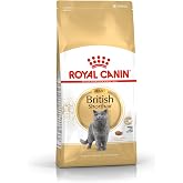 Royal Canin British Shorthair Yetişkin Kedi Maması, 400 Gr
