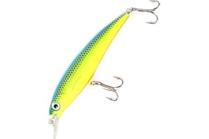 ‎MAJOR FISH Major Fish Zander Wobbler Hecht Barsch Hardbait Flachläufer 10 cm