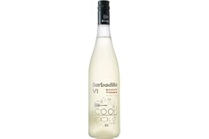 VI SUMMER Barbadillo VI Cool | Vino Frizzante Moscatel - Botella de 75 cl
