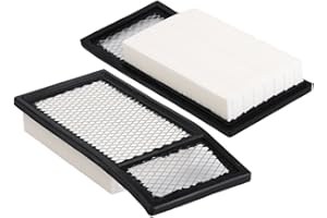 OxoxO Ersatz-Luftfilterelement 72368G01 72144G01, kompatibel mit EZGO E-Z-Go 4-Takt-Golfwagen TXT MEDALIST, 2 Stück