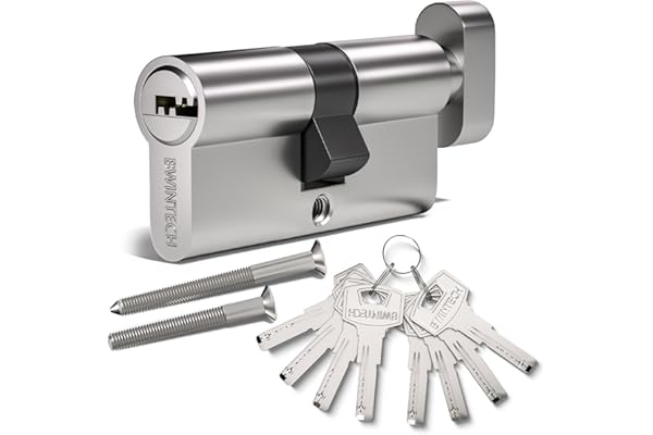 Bwintech 60mm(30T/30) Serrure à cylindre européen en alliage de nickel et zinc, serrure à barillet, clé avec 8 clés à fossettes horizontales